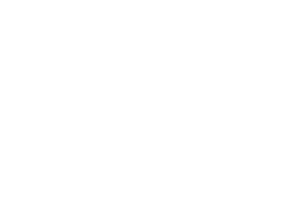 FFI Global SRL